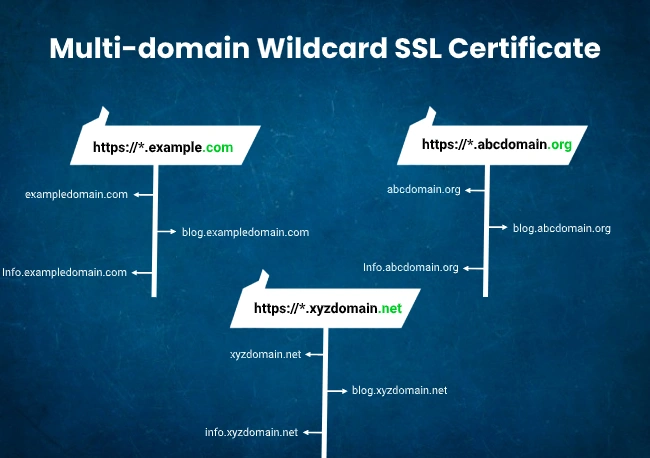 Multi-domain Wildcard SSL Certificate