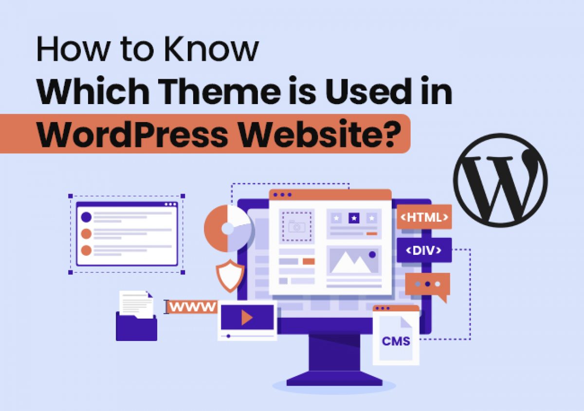 How Do You Know Which Theme is Used in WordPress Websites?