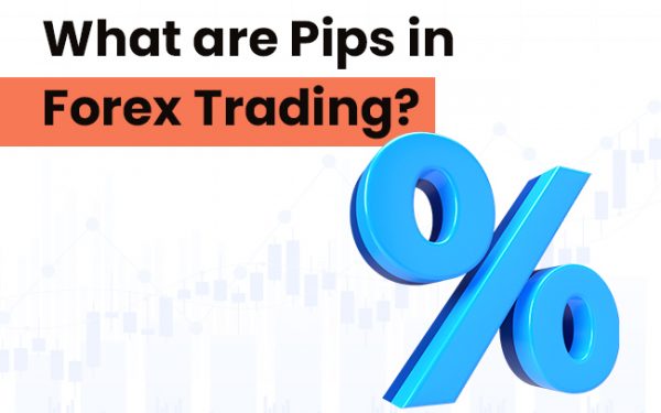 What Are Pips in Forex Trading
